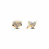 263003C01_1698134687357.png