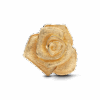 763675C00_1735171460272.png
