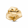 763675C00_V2.png