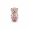 788809C01_V2.png