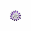 798775C02_V2.png