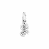 798819C00_1661166598078.png