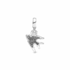 798984C01_V2.png