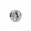 799506C00_1661331952558-1.png