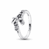 PNGTRPNT_192516C01_RGB-1.png