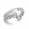 PNGTRPNT_193149C01_V2_RGB.png