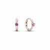 PNGTRPNT_289304C03_RGB.png