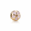PNGTRPNT_750816EN40.png