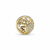 PNGTRPNT_768778C01_V2_RGB.png