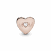 PNGTRPNT_781881CZ_V2_RGB.png