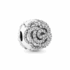 PNGTRPNT_791529CZ_RGB.png