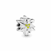 PNGTRPNT_798243ENMX_RGB.png