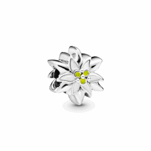 Silver Charm Edelweiss Flower