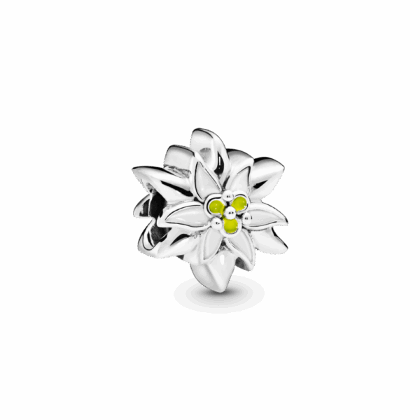 Silver Charm Edelweiss Flower