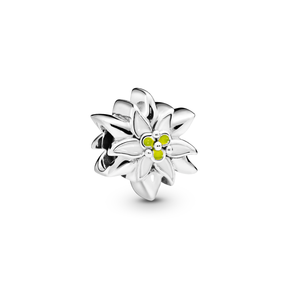 Silver Charm Edelweiss Flower