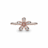 180932CZ_V2_1661247758294.png