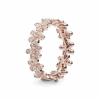 180934CZ_1661247761726.png