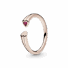 186570CZR_1663660351363.png