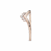 188282CZ_V4_1661247835573.png