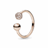 188316CZ_1661247837964.png