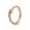 189491C01.png