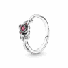 190017C01.png