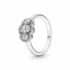 190049C01.png