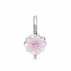 191026PCZ_V3_1661247905744.png
