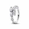 193004C01_1698134548379.png