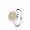 196231CZ_1661070252360.png