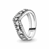 199095C01_1661328779010.png
