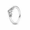 199109C01_1661324508214.png