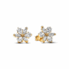 262633C01_1698134627649.png