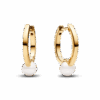 263170C01_1708513139655.png