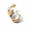 263261C01_1716128005260.png