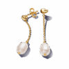 263313C01_1716128077026.png