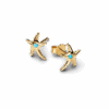 263820C01_v2_1748161349961.png