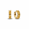 263851C02_1748161371844.png