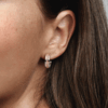 282737C01_v9_1691020962706.png