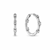 290043C01.png
