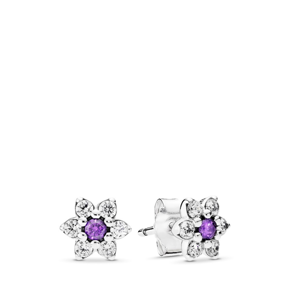 עגילי כסף FORGET ME NOT