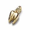762300C01_V5_1663891338284.png