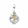 762517C01_V2_1671408405124.png