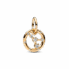 762708C01_1691021316421.png