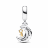 762985C01_V2_1698135266674.png