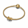 763055C00_V3.png