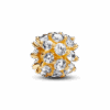 763234C01_1711956721610.png