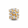 763234C01_V2_1711956723678.png