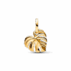 763349C01_V2_1716128284568.png