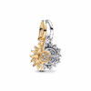 763585C01_1729641854520.png
